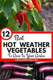 A crisp, colorful salad may be the perfect dish on a hot summer's day, and some varieties of greens excel despite the heat. 12 Best Hot Weather Vegetables To Grow In Your Garden Life Is Just Ducky