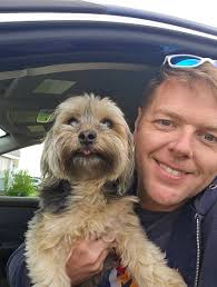 Who is the owner of the lost puppy in Hull?