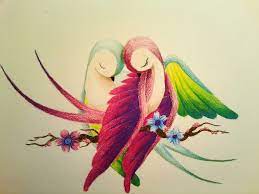 Related Image Bird Drawings Color Pencil Drawing Pencil Drawings