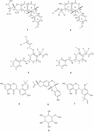 Image result for Ptycholobium plicatum