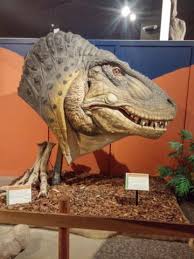 Check spelling or type a new query. Dinosaur Journey Museum Visit Grand Junction Colorado