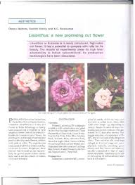 Image result for eustoma maurine