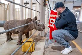 Rolling Hills Zoo names baby rhino after Chiefs standout center