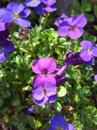 240 7_ 15_ brodhead_ hues. Jigsaw Puzzle Creator Ziggizag Play One Of My 38 Free Puzzles At Jigidi