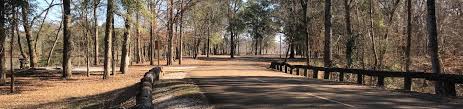 Looking to photograph water fowl. Town Creek Campground West Point Ms Tennessee Tombigbee Waterway Recreation Gov