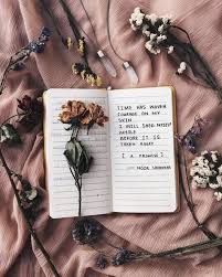 Pinterest Orionrose Pink Peach Aesthetic Tumblr Indie Boho Vintage Hipster Flowers Dried P Noor Unnahar Diy Photography Aesthetic Photography