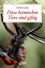 Diese Heimischen Tiere Sind Giftig In 2020 Tiere Servus Magazin Heimisch