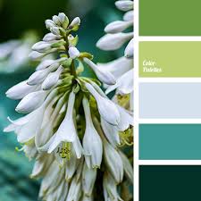 They can calm and soothe. Cool Palettes Color Palette Ideas