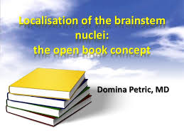 This brief video tutorial discusses some foundational principals for describing and locating cranial nerve nuclei (motor and sensory) in the brainstem. Localisation Of The Brainstem Nuclei