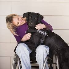 Emotional support animal registration must be bolstered with a letter by a licensed mental health therapist. Ada Service Dog Registration