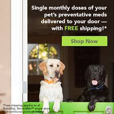 Maybe you would like to learn more about one of these? Veterinarian In Houston Tx Haven Veterinary Clinic