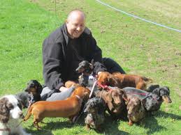 Akc dachshund puppies for sale. Sausage Dog Hotel Receives Overwhelming Fundraising Help After Covid Losses Shropshire Star