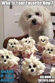 Funny Dog Memes Part 2 Funny Dog Memes Dog Toys Puppies Funny