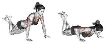 01 die klassischen liegestütze dies ist die basisübung. Brustmuskeltraining Zu Hause Die Top 6 Bilder Videos