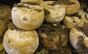 Voici Le Fromage Le Plus Dangereux Du Monde