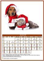 (pour imprimer à la maison ou au travail par exemple) les formats des fichiers disponibles sont pdf (adobe reader pdf) et jpg (figure). Calendrier Decembre 1955 Gratuit Et Personnalisable Agenda Decembre 1955