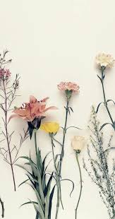 Taustakuvia Iphone 25 Paras Kukkatapetit Maasta Tumblr Floral Wallpaper Iphone Floral Tumblr Floral Wallpaper Phone Find and follow posts tagged flower wallpaper on tumblr. floral wallpaper iphone floral tumblr