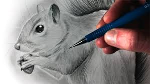We did not find results for: How To Draw Animals 50 Free Tutorial Videos To Help You Learn Step By Step