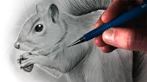 To begin with, pencil drawings of animals, the first on the list has to be the lion with his lioness. How To Draw Animals 50 Free Tutorial Videos To Help You Learn Step By Step