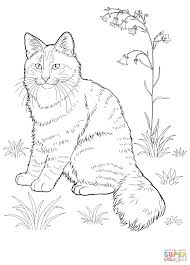 Free printable dog coloring pages scroll down the page to see all of our printable dog pictures. Realistic Dog Coloring Pictures Crazypurplemama