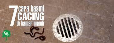 Menurut pusat kawalan dan pencegahan penyakit, jangkitan cacing kerawit berlaku dalam. 7 Cara Membasmi Cacing Di Kamar Mandi Yang Alami Dan Mudah