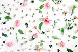 The zazzle marketplace has floral wedding invitation designs from amazing designers starting as low as $2.25. Floral Pattern Made Of Pink And Beige Roses Green Leaves Branches Stock Photo Picture And Royalty Free Image Image 69223019