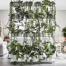 Ikea Deko Ideen Katalog 2018 Grunes Wohnen Ikea Deko Ikea Deko Ideen Wohnzimmer Pflanzen