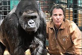 Check spelling or type a new query. A Human Can Beat A Silver Back Gorilla In A Fight With His Bare Hands Battles Comic Vine