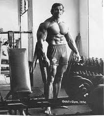 Maybe you would like to learn more about one of these? Hd Wallpaper Arnold Schwarzenegger Bodybuilding Bodybuilder Barbell Dumbbells Wallpaper Flare