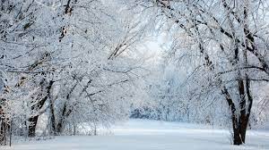 We did not find results for: Winter Wonderland Wallpapers 3008x2000px Desktop Background