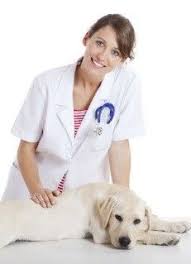 To care for your pets with joy, love and tenderness. Tlc Pet Care Centers In Cincinnati Oh Connect2local