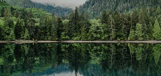 The words 'wow,' 'amazing' and 'spectacular' will only go so far. Super Natural Bc British Columbia Travel Information