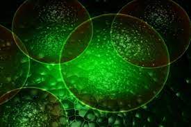 Maybe you would like to learn more about one of these? Footage Of A Plant Cell Stock Footage Video 100 Royalty Free 178960 Shutterstock