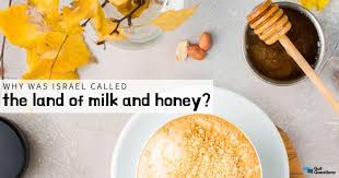 Repeatedly in the old testament, god describes the promised land as a land flowing with milk and honey (exodus 3:8; Why Was Israel Called The Land Of Milk And Honey Gotquestions Org