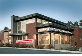 Two Veterinary Hospitals That Prove The Industry Has Changed Hospital Design Dvm360 Medical Clinic Design Veterinary Hospital Modern Hospital