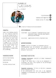 Cv Voorbeeld 16 Jarige