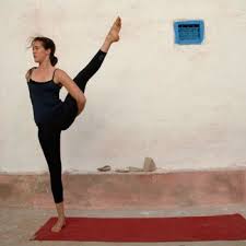Bird Of Paradise Yoga Pose Meaning Birds Of Paradise Bird Of Paradise Pose Birds Of Paradise Yoga Poses
