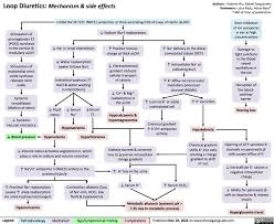 Image result for Loop Diuretic
