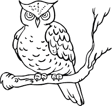 Download Free Printable Owl Coloring Pages For Kids