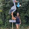 Storch schablone zum ausdrucken mit holz : 1