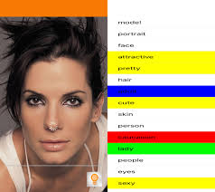Blog — ShowBlender LLC