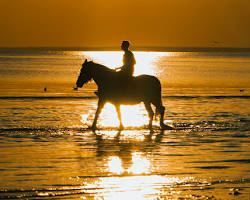 Image of person riding a horse on the beach at sunset