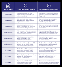 Image result for Developmental Red Flags