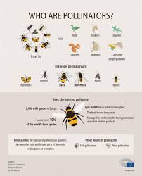 In 2022 the whole crypto market will most likely see the effects of btc's 2020 halving. How Much Will Bee Crypto Be Worth In 2030