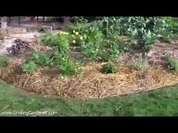 Beauty points sammeln & mit der douglas beauty card von exklusiven vorteilen profitieren. Vegetable Garden Maintenance How To Make It Easy