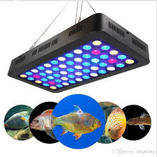 2020 165w Led Aquarium Lights 55 3w Manual Dimmable Full Spctrum Grow Light Fish Tank Coral Reef Lights From Htlighting 108 55 Dhgate Com
