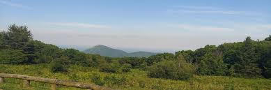 Kenzie (@mhargreaves.bsky.social) — Bluesky