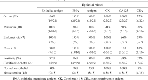 The usefulness of a new commercially available monoclonal antibody (moab) ber‐ep4 was evaluated. Pdf Ber Ep4 And Anti Calretinin Antibodies A Useful Combination For Differential Diagnosis Of Various Histological Types Of Ovarian Cancer Cells And Mesothelial Cells Semantic Scholar