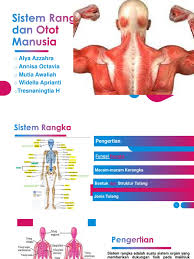 Check spelling or type a new query. Sistem Rangka Dan Otot Manusia
