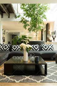 Large Living Room With Patterned Sofa Black Coffee Table Plants